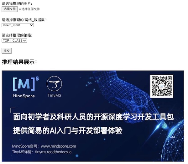 ../_images/tinyms_web_index.jpg