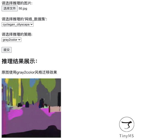 ../_images/tinyms_web_reasoning.jpg
